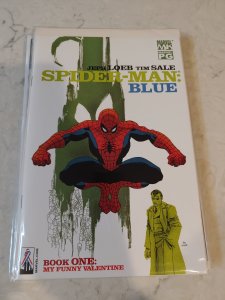 Spider-Man: Blue #1 (2002)