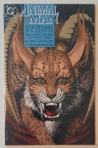Animal Man #56 (1993)