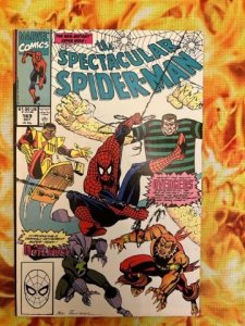 The Spectacular Spider-Man #169 Direct Edition (1990) - VF/NM