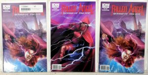 Fallen Angel Return of the Son Lot of 3 #1 x2, 2 (2011) IDW 9.4 1st Print Comics