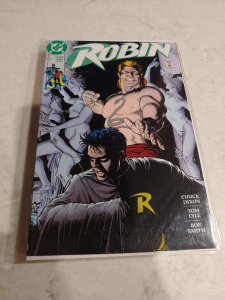 Robin #5 (1991)