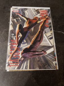 Daredevil/Spider-Man #2 (2001)