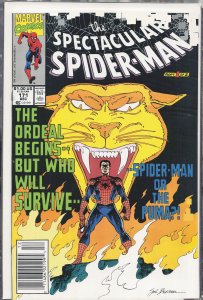 The Spectacular Spider-Man #171 (1990) Spider-Man