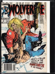 Wolverine #10 (1989) Wolverine