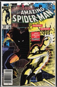 Amazing Spider-Man #256