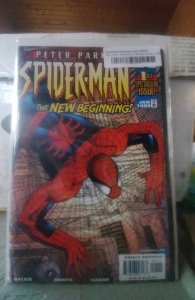 Peter Parker: Spider-Man #1 (1999)