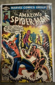 The Amazing Spider-Man #215 (1981) Spider-Man 