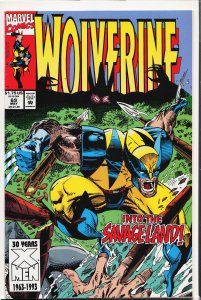Wolverine #69 (1993) Wolverine