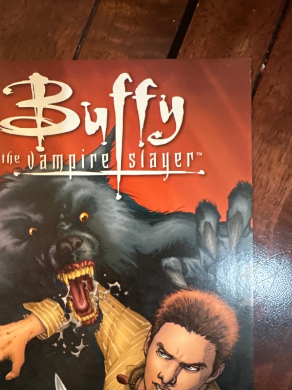 Buffy the Vampire Slayer Season Eight #27 Variant Cover (2009)