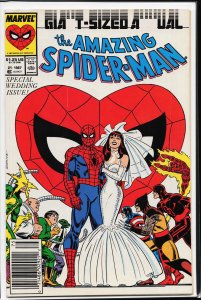 The Amazing Spider-Man Annual #21 (1987) Spider-Man