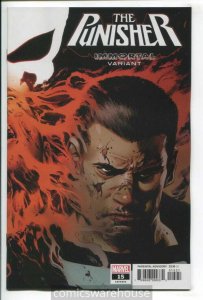 PUNISHER (2018 MARVEL) #15 VARIANT IMMORTAL NM F01849