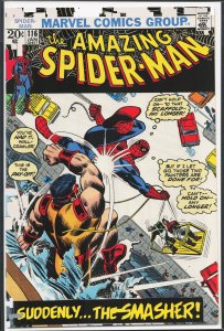 The Amazing Spider-Man #116 (1973) Spider-Man