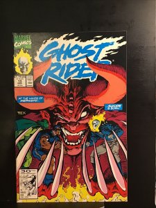 Ghost Rider #19 (Nov 1991, Marvel)