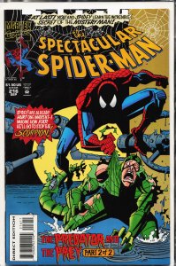 The Spectacular Spider-Man #216 (1994) Spider-Man