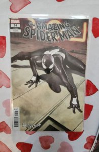 The Amazing Spider-Man #24 Coipel Cover (2019)