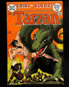 Tarzan (1972) #228