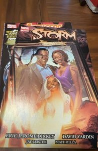 Storm #2 (2006)  