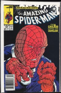 The Amazing Spider-Man #307 (1988) Spider-Man