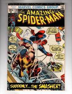 The Amazing Spider-Man #116 (1973)  / CR400-MC#300