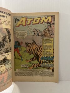 The Atom #21 