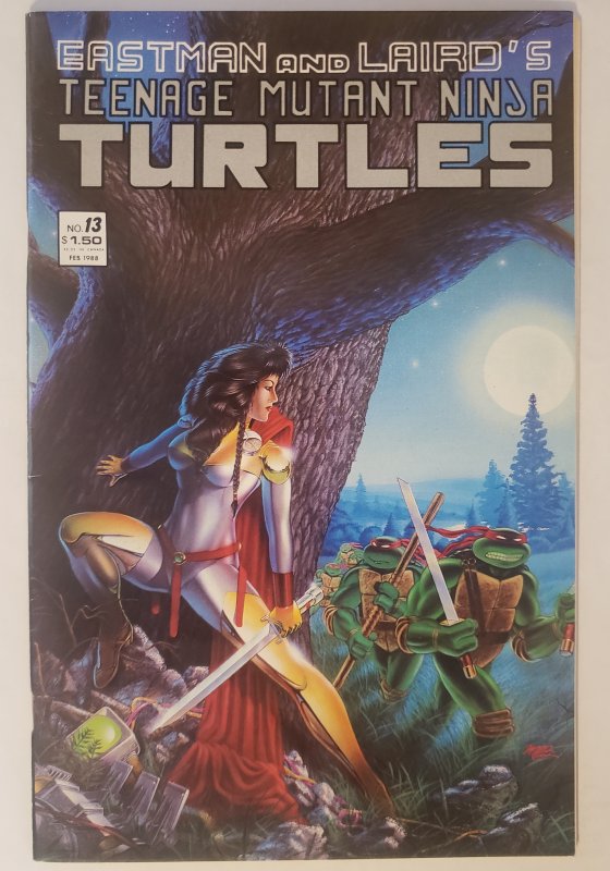 Teenage Mutant Ninja Turtles 13