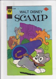 Scamp #34