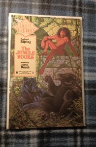 Classics Illustrated #22 (1991)