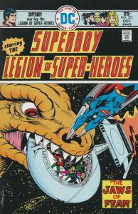Superboy (1st Series) #213 FN; DC | save on shipping - details inside