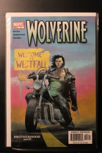 Wolverine #3 Direct Edition (2003)