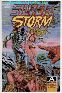 SILVER STORM #1, NM+, Aircel, Steven Butler, Femme Fatale, more indies in store