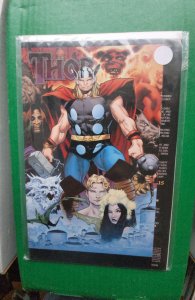 Thor #604 Variant Cover (2009)