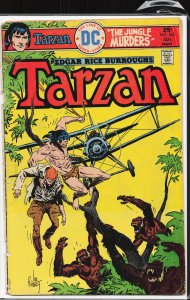 Edgar Rice Burroughs' Tarzan #245 (1976)