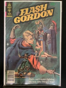Flash Gordon #24 (1979)