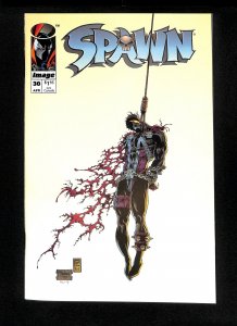 Spawn #30