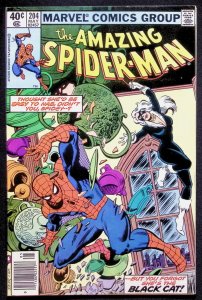 Amazing Spider-Man #204 Black Cat!