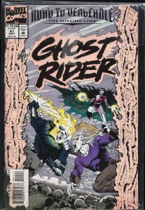 Ghost Rider #41 (1993) Ghost Rider