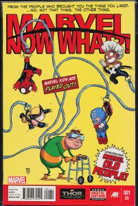 Marvel: Now What?! (2013)