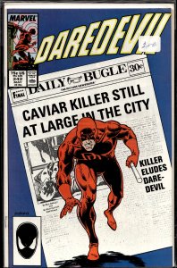 Daredevil #242 (1987) Daredevil