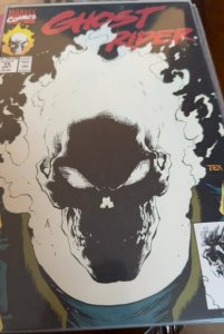 Ghost Rider #15 (1991) Ghost Rider 