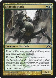 Magic the Gathering: Gatecrash - Shambleshark