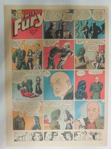 Miss Fury Sunday by Tarpe Mills from 3/14/1943 Size: 11 x 15  Very Rare Year #3