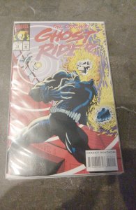 The Original Ghost Rider #14 (1993)