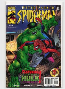 Peter Parker Spider-Man #14 (1999)