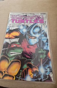 Teenage Mutant Ninja Turtles #20