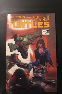 Teenage Mutant Ninja Turtles #2 3rd Print Variant (1984)