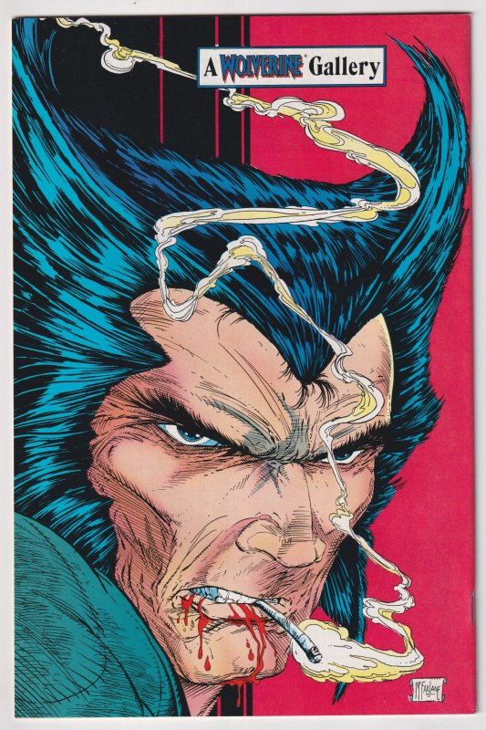 Wolverine #6 (1989) Wolverine