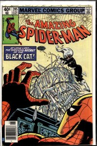 The Amazing Spider-Man #205 (1980) Spider-Man