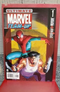 Ultimate Marvel Team-Up #1 (2001)