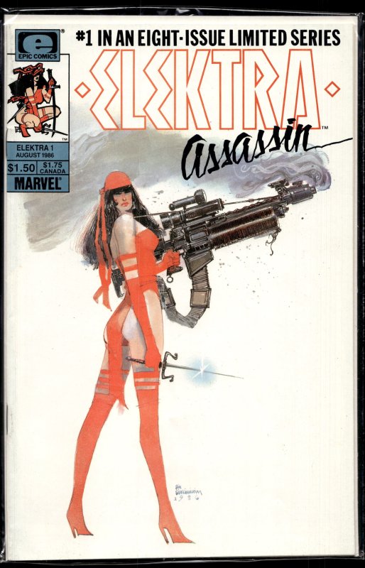 Elektra: Assassin #1 (1986) Elektra