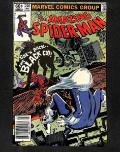 Amazing Spider-Man #226 Newsstand Variant Black Cat!